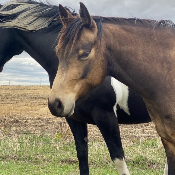 Meet your Posher, Lynn - Picture 1 of 1